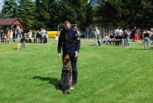 Przewodnik psa służbowego prezentuje umiejętności policyjnego czworonoga.