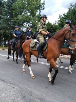policjanci na koniach w trakcie pokazu