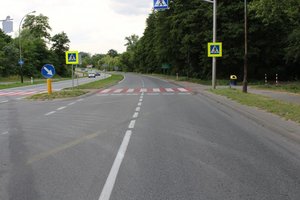 Oznakowane przejście dla pieszych w Tarnobrzegu.