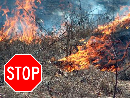 Na zdjęciu płonące zbocze łąki. Zniszczone przez ogień trawy i drzew. Zdjęcie ma być przestrogą dla osób wypalających trawy na wiosnę.