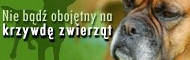 Nie bądź obojętny na krzywdę zwierząt