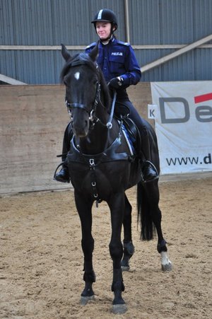 Policjanci podczas szkolenia Zespołów Konnych