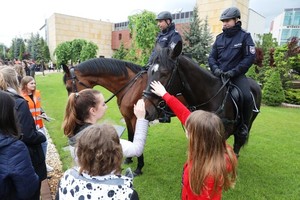 Policjanci na koniach