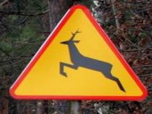 Znak drogowy A18b - „zwierzyna leśna”
