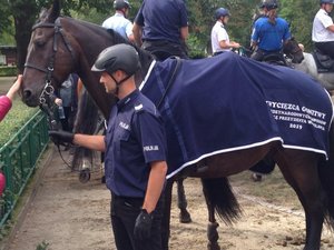 Zwycięzca zawodów konnych - policyjny jeździec z wierzchowcem