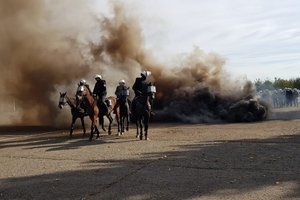 Policyjne wierzchowce podczas egzaminu
