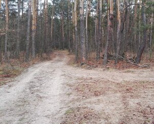 Miejsce wypadku w Ostrowy Tuszowskie pow. kolbuszowski