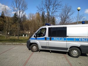 policyjny radiowóz, park