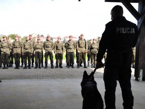 zdjęcie zrobione z tyłu za policjantem, przedstawia policjanta i siedzącego przy nim psa służbowego a na drugim planie dwuszereg żołnierzy skierowany w stronę funkcjonariusza policji