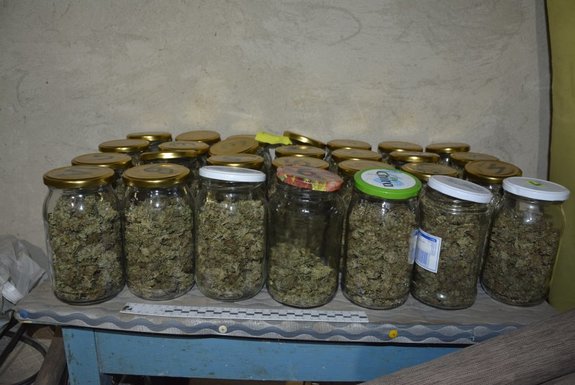 Zdjęcie kolorowe przedstawia część pomieszczenia piwnicy w którym stoi stolik koloru niebieskiego a na nim 28 słoików m-ki Twist o poj 1 l. z zawartością marihuany