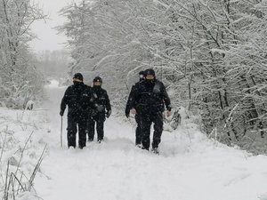 Policjanci w trakcie poszukiwań kobiety - droga leśna