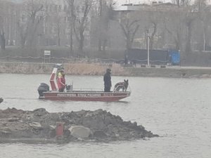Na zdjęciu łudź strażacka pływająca po zalewie, z której przewodnik z psem wyszkolonym do odnajdywania zwłok ludzkich na lądzie oraz w wodzie prowadzi poszukiwania zaginionego.