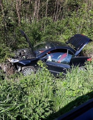 Zdjęcie kolorowe przedstawia miejsce zdarzenia drogowego w miejscowości Huwniki.  Na przednim planie widoczny samochód marki Peugot koloru granatowego, który zaparkowany jest w rowie na ściętym pniu drzewa, drzwi pojazdy od strony kierowcy są otwarte oraz podniesiona jest maska silnika oraz bagażnik w tle widoczne są drzewa