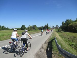 Grupa rowerzystów na drodze