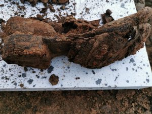 Obuwie znalezione przy fragmentach szkieletu