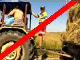 Zdjęcie kolorowe przedstawia traktor z przyczepą wypełniona sianem. Na łączeniu  traktora z przyczepą widoczny jest chłopiec, który stoi na łączeniu ubrany jest w krótkie czerwone spodenki oraz bluzkę z krótkim rękawem w paski żółto niebieskie. W kabinie traktora siedzi dwie osoby . Całe zdjęcie jest przekreślone czerwonym paskiem który informuje o niebezpiecznych i zakazanych sytuacjach przewożenia osób.