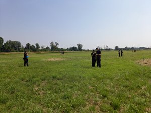 Policjanci stojący na łące w różnych odległościach od siebie. Policjanci stoją pojedynczo i w parach.