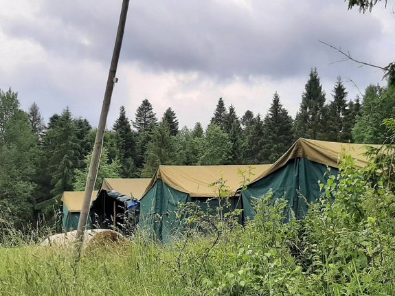 obóz harcerski - namioty