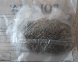 zabezpieczony susz roślinny w woreczku foliowym - marihuana