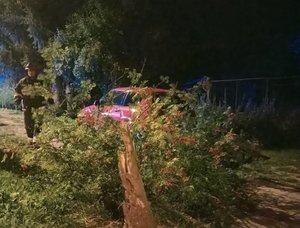Zdjęcie wykonane w porze nocnej przedstawia pojazd marki suzuki koloru czerwonego na które spadło drzewo na poboczu przy ul. Opalińskiego w Przemyślu