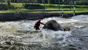 Zdjęcia ze szkolenia pn. „Poszukiwanie osób zaginionych w rzekach górskich”
