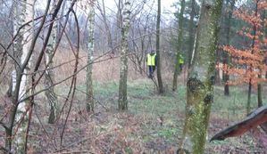 Teren leśny- policjanci poszukują zaginionego grzybiarza