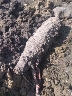 Niewybuch znaleziony w miejscowości Kozodrza