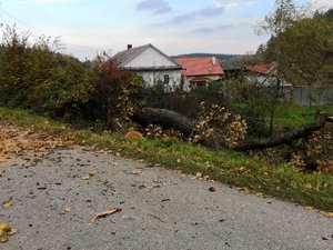 Zdjęcie kolorowe wykonane w porze dziennej przedstawia drogę powiatowa w miejscowości Leszczawa Dolna. Na zdjęciu widoczny jest konar drzewa powalony przez silny wiatr.