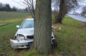 Drzewo za którym widoczny jest samochód. Pojazd posiada uszkodzenia przedniej części.