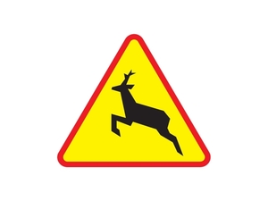 Znak drogowy A-18b &quot;Uwaga dzikie zwierzęta&quot;