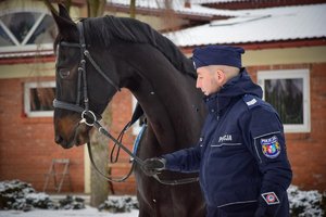 Policjant stoi obok konia, trzyma go za wodze (zbliżenie na głowę konia). Zdjęcie wykonane od przodu w ciągu dnia, w tle stajnie, padający śnieg.