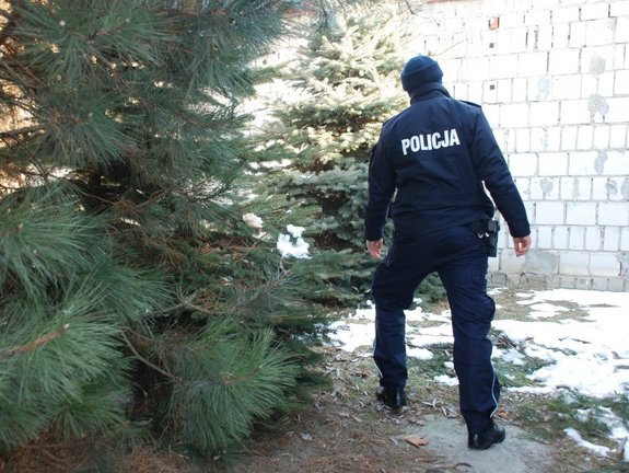 Kolorowa fotografia. Policjant  w mundurze szuka zaginionego między sosnowymi drzewami, a zabudowaniami.