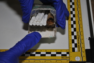 Zdjęcie kolorowe wykonane w porze dziennej przedstawia pudełko papierosów w którym znajduje się 8 sztuk papierosów i 1 blant. Pudełko jest trzymane przez funkcjonariusza policji który na rękach ma założone niebieskie rękawiczki.