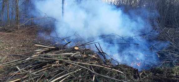 Ogień rozpalony przez mężczyzn w pobliżu lasu