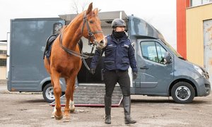 Policjant - jeździec prowadzi konia trzymając za uzdę. W tle samochód do przewożenia koni.