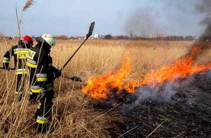 Zdjęcie kolorowe przedstawia dwóch strażaków gaszących palącą się trawę