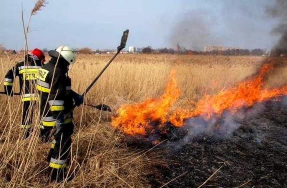 Zdjęcie kolorowe przedstawia dwóch strażaków gaszących palącą się trawę