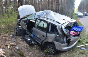 Uszkodzony pojazd który uderzył w  przydrożne drzewo.