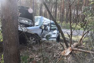 Uszkodzony pojazd w wyniku zderzenia z drzewem