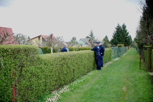 Zdjęcie kolorowe przedstawia alejkę na ogródkach działkowych „Jawor” w Przemyślu na której przy żywopłocie stoi dwóch policjantów którzy rozmawiają z działkowiczami