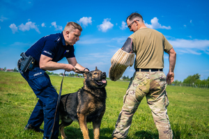 przewodnicy psów w czasie szkolenia, na zdjęciu policjant z psem i pozorant z amerykańskiej armii