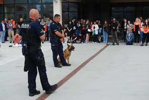 Na zdjęciu przewodnicy psów podczas prezentacji wyszkolenia psów służbowych. W tle widać widzów pokazu.
