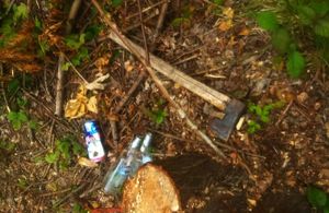 Siekiera i butelki po alkoholu w pobliżu pnia ściętego drzewa