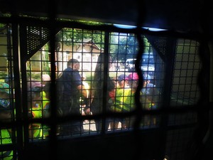 dzieci w odblaskowych kamizelkach zwiedzają radiowóz