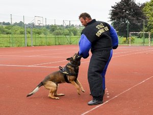 na zdjęciu funkcjonariusz Straży Ochrony Kolei w specjalistycznym kombinezonie oraz atakujący go pies SOK