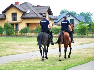 na zdjęciu policjanci na koniach