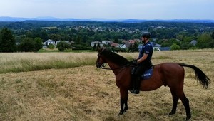 umundurowany policjant na koniu stojącym na wzgórzu, w tle domy i panorama Korczyny