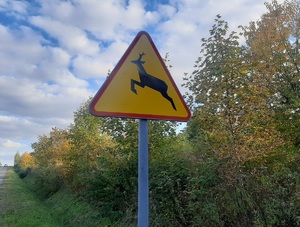 znak drogowy przedstawiający zwierze leśne