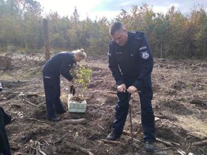 Policjanci podczas sadzenia drzewek