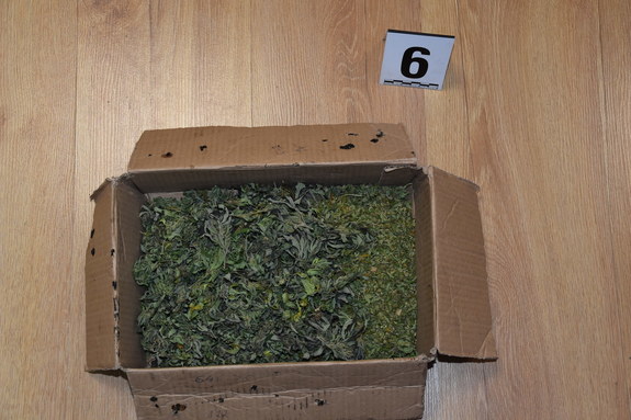 na podłodze leży kartonowe pudło wypełnione roślinnym suszem